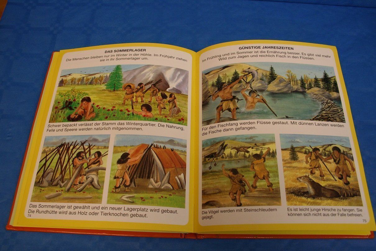Livres: Dinosaurier und Vorgeschichte – D'occasion à Wettingen par zibi137 2