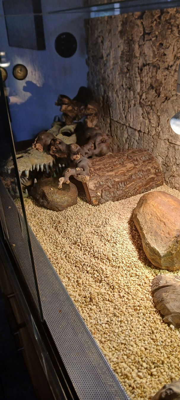Terrario: Terrarium complet avec accessoires pour reptiles – Usato da Le Sentier venduto da Funko-Pop-1979 3
