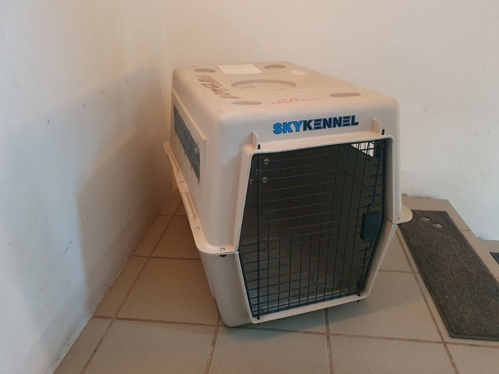 Beeztees Skykennel 3 IATA Caisse de Transport pour Chien de 13