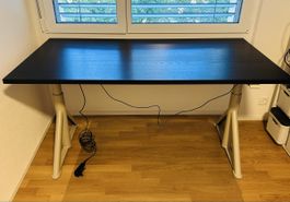 Idasen Stehpult höhenverstellbar