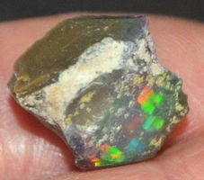 Edelstein L-7944– Schwarzer Welo Opal roh 5,35 Karat 12x11mm