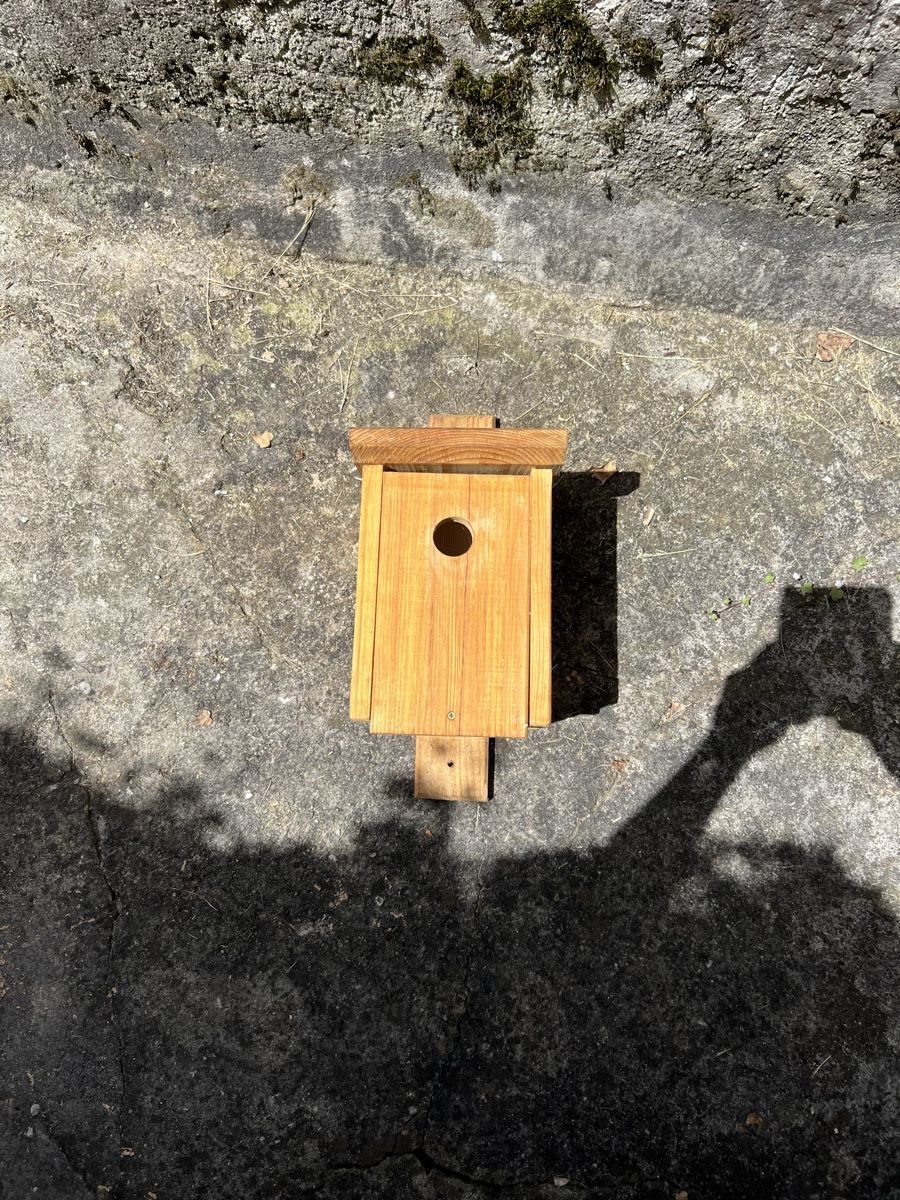 Casette per uccelli: Vogelnistkasten – Nuovo (secondo la descrizione) da Moosleerau venduto da Tami8