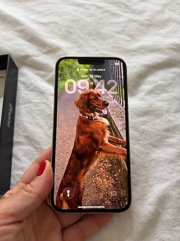 Telefoni cellulari / Smartphones: iPhone 13 Pro 128 GB – Usato da Genève venduto da man_s7zl 1