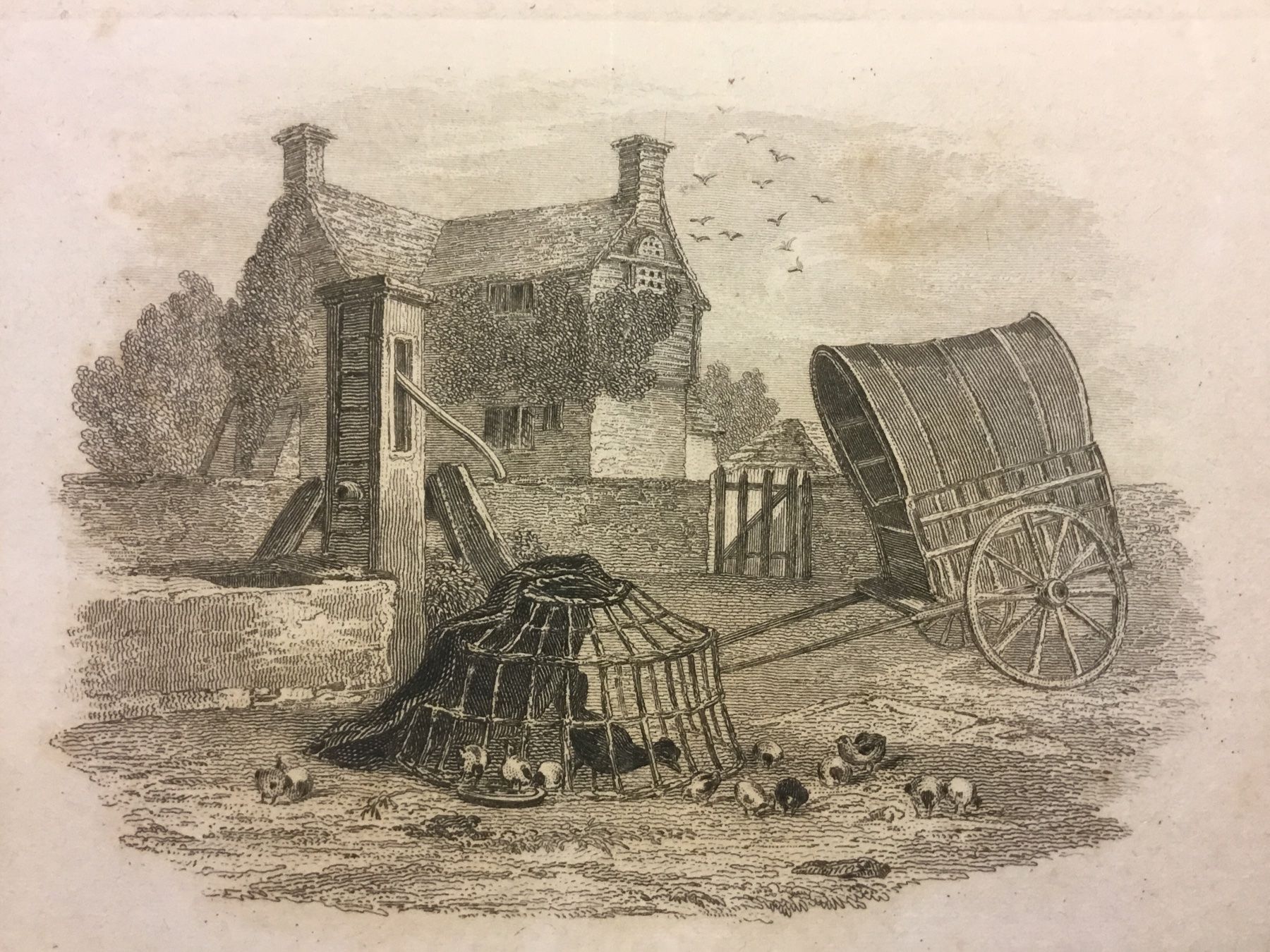 Grafica & Litografie: Lithografie mit ländlicher Szene – Usato da Thalwil venduto da Peter0911