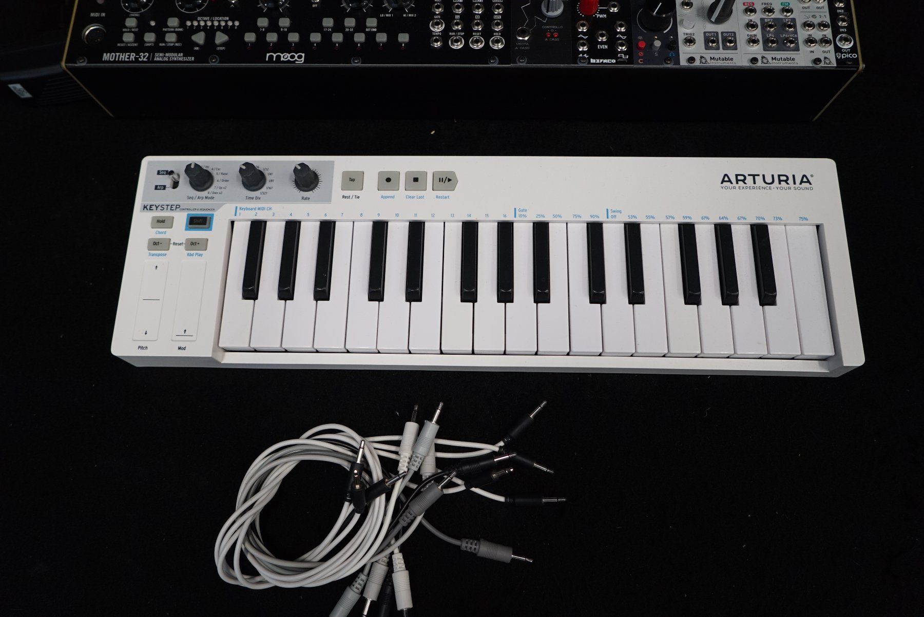 Moog Strumenti musicali: Moog Sytem Rack komplett – Usato da Ortschwaben venduto da Musictrade 8