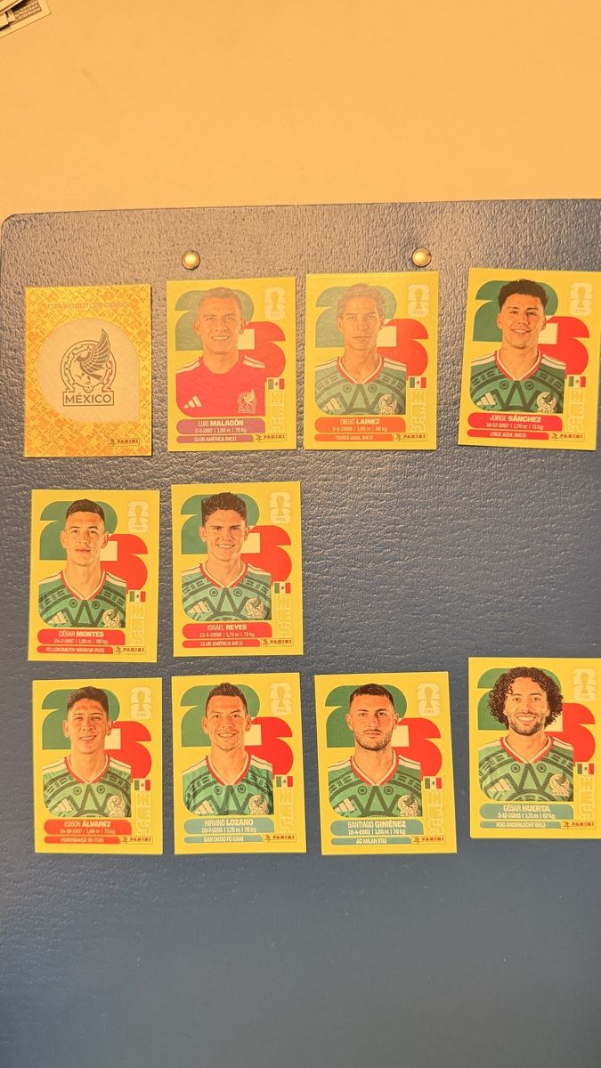 Panini Carte collezionabili: Panini MEX – Usato da Oberhasli venduto da Alanickal 1