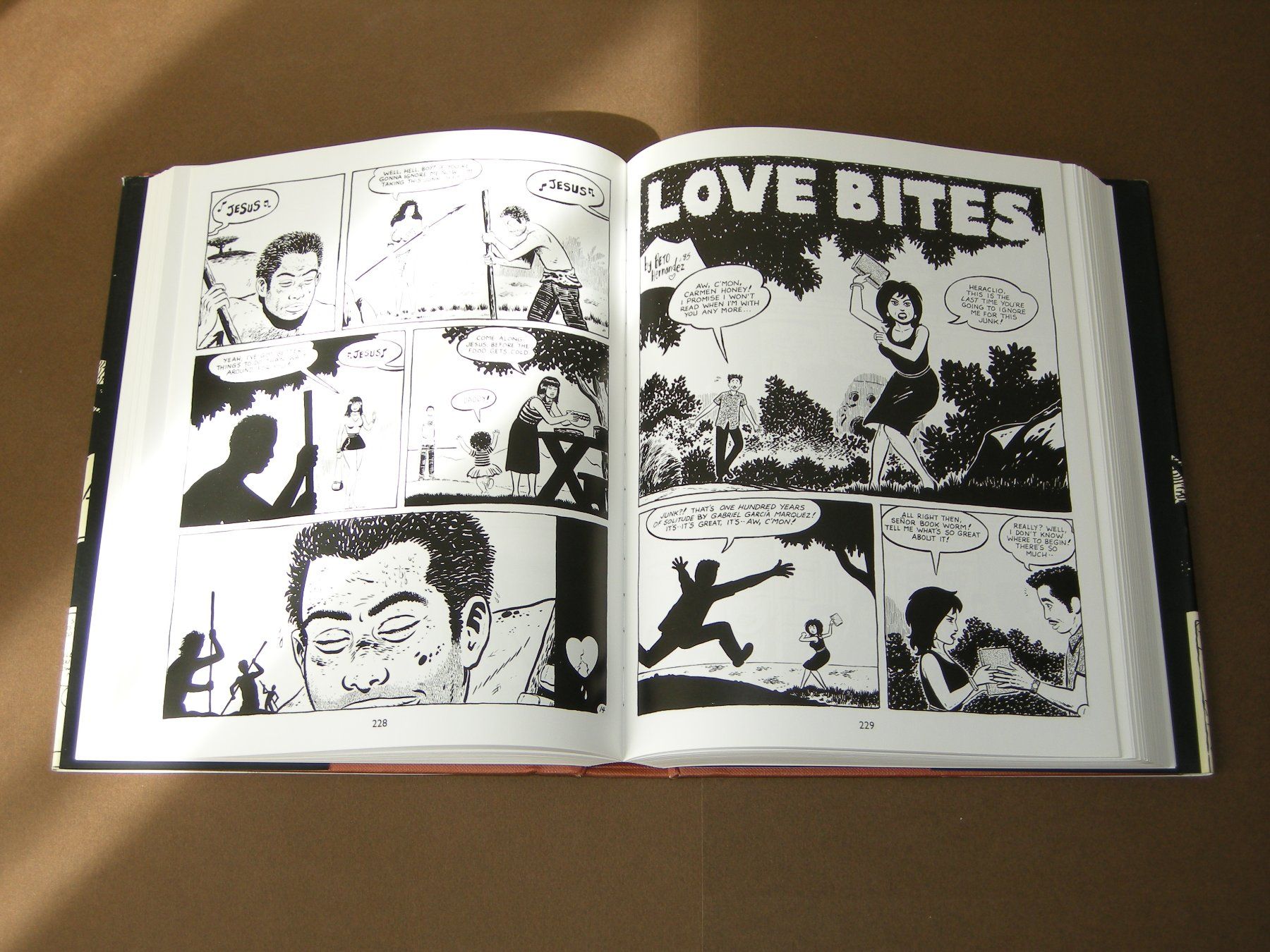 Fumetti: Palomar by Gilbert Hernandez #Heartbreak Soup #Alan Moore – Usato da Aarau venduto da Pearlz 7