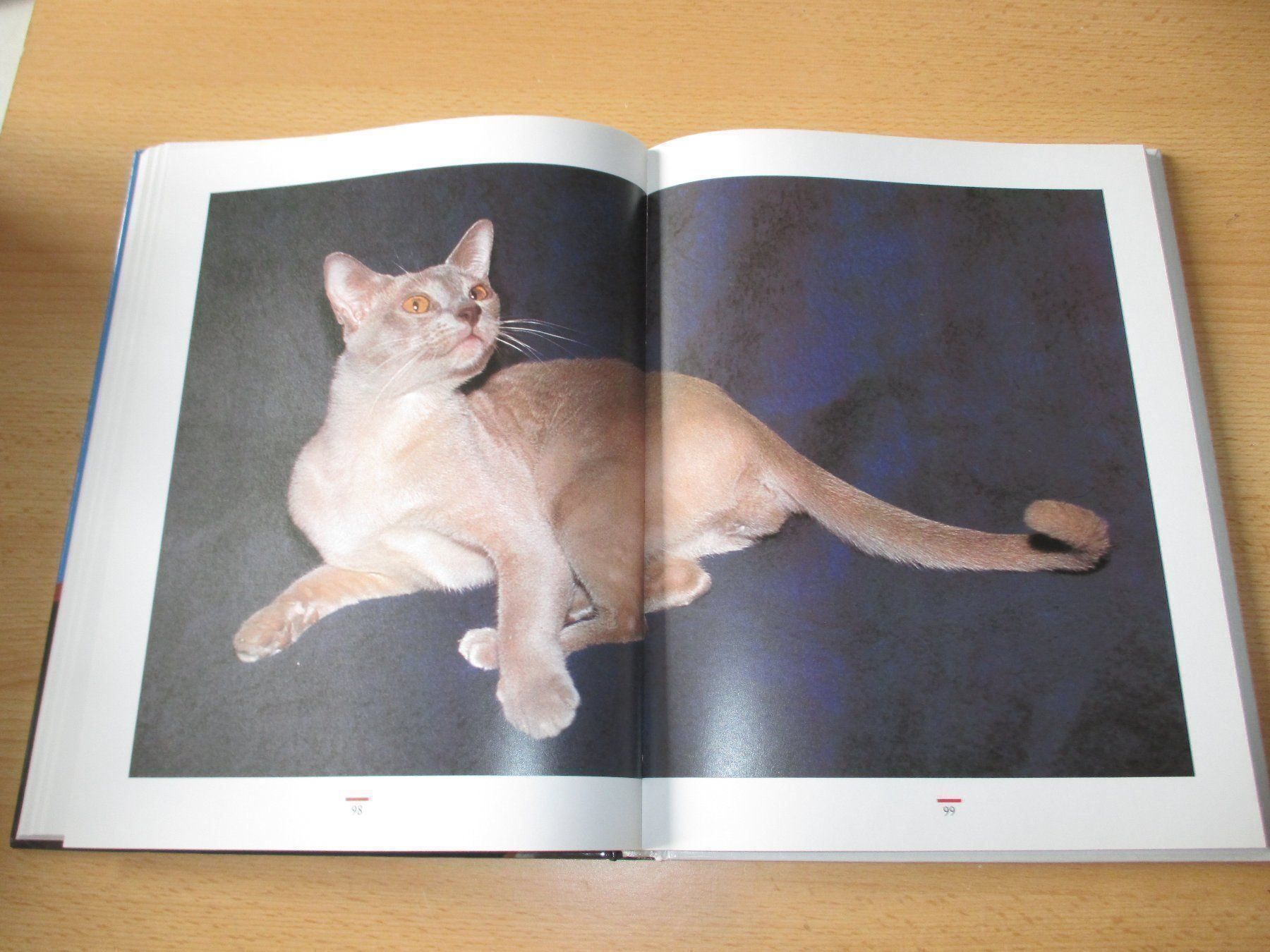 Libri: KATZEN  Einmalige Sonderausgabe – Usato da Flims - Dorf venduto da Stagediver 5