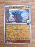 Cynthias Kaumalat 102/182 DRI