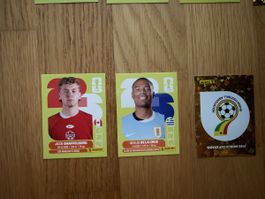 Panini Sticker