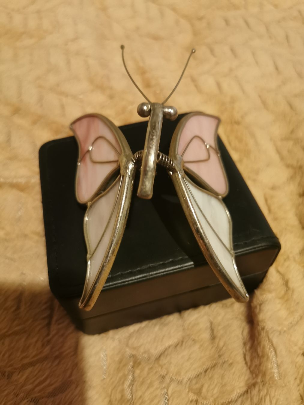 Tutte le decorazioni: Deko Schmetterling  – Usato da Mellingen venduto da fra_g7y8 6