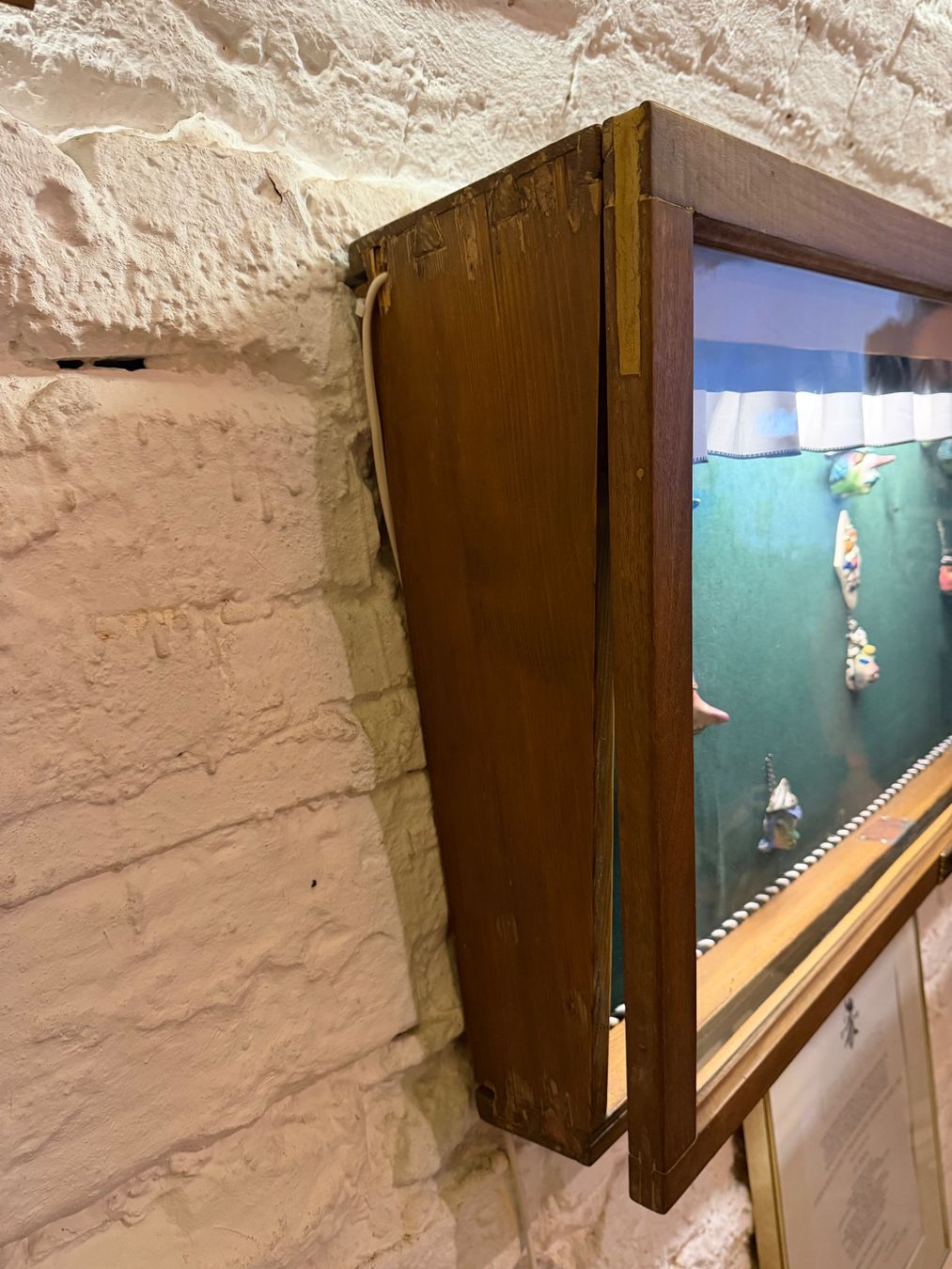 Vetrine: Holzvitrine mit Samtrückwand inkl Innenbeleuchtung – Usato da Oberwil BL venduto da Schubi770 1