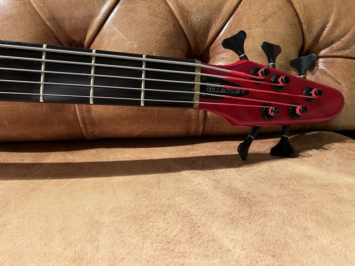Strumenti musicali: Bass Collection SB 305 5 String Bass – Usato da Bergdietikon venduto da SoundFactory 5