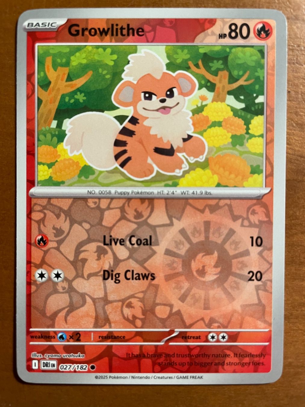 Pokémon Sammelbilder & Trading cards: Pokemon Growlithe Reverse (Versand gratis) – Neu (gemäss Beschreibung) aus Chur von Angerson