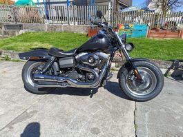 Harley Davidson FXDF Dyna Fat Bob - Top Zustand