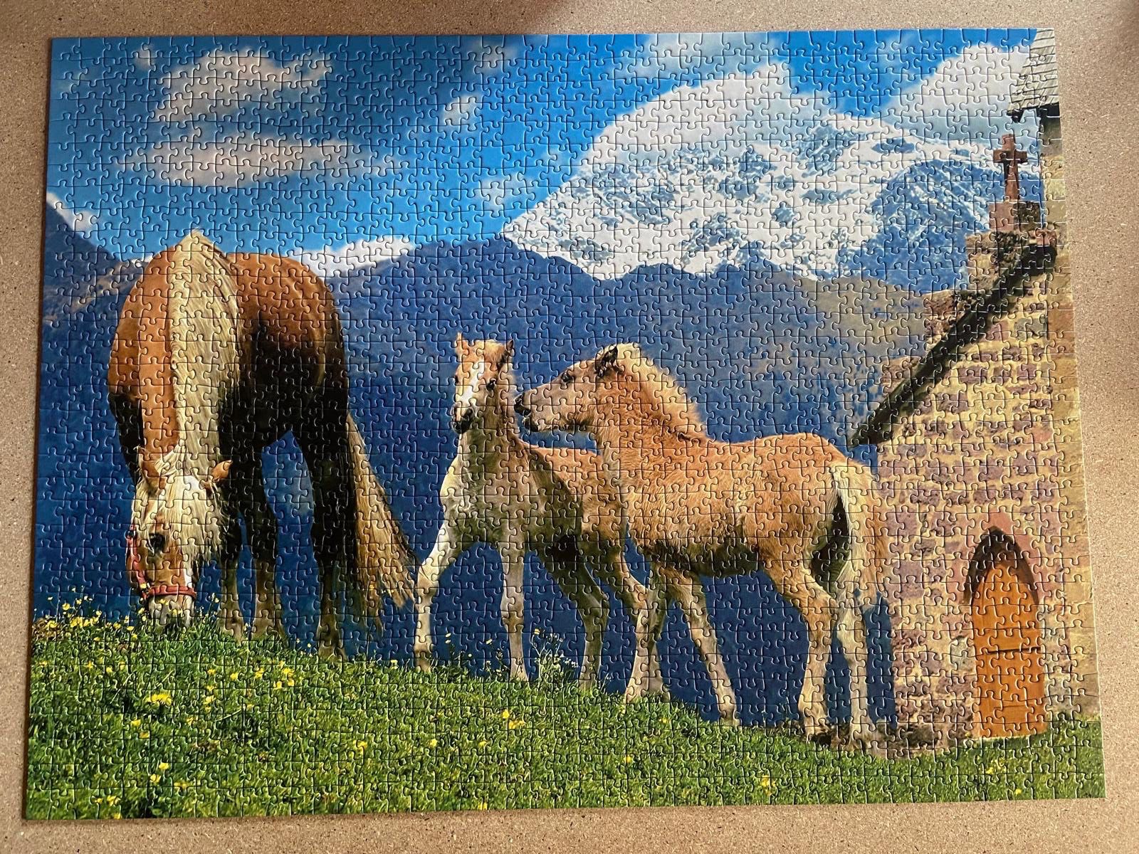 Puzzles: Puzzle 1500 Süsse Haflinger – Gebraucht aus Rafz von Powacaddy 2