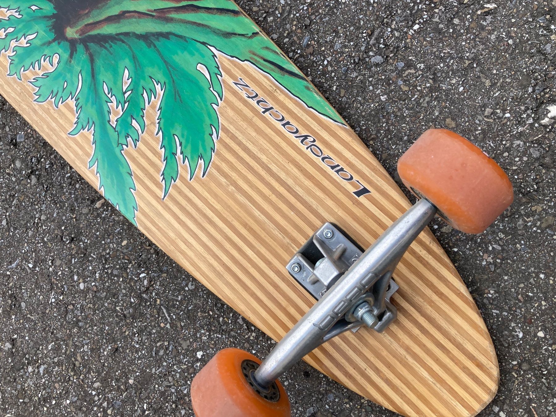 Skateboards: Long Board – Usato da Staffelbach venduto da Livere 1
