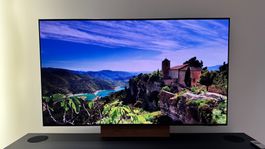 Samsung QE55S95F (55" QD-OLED S95F 4K)  - Ausstellungsmodell
