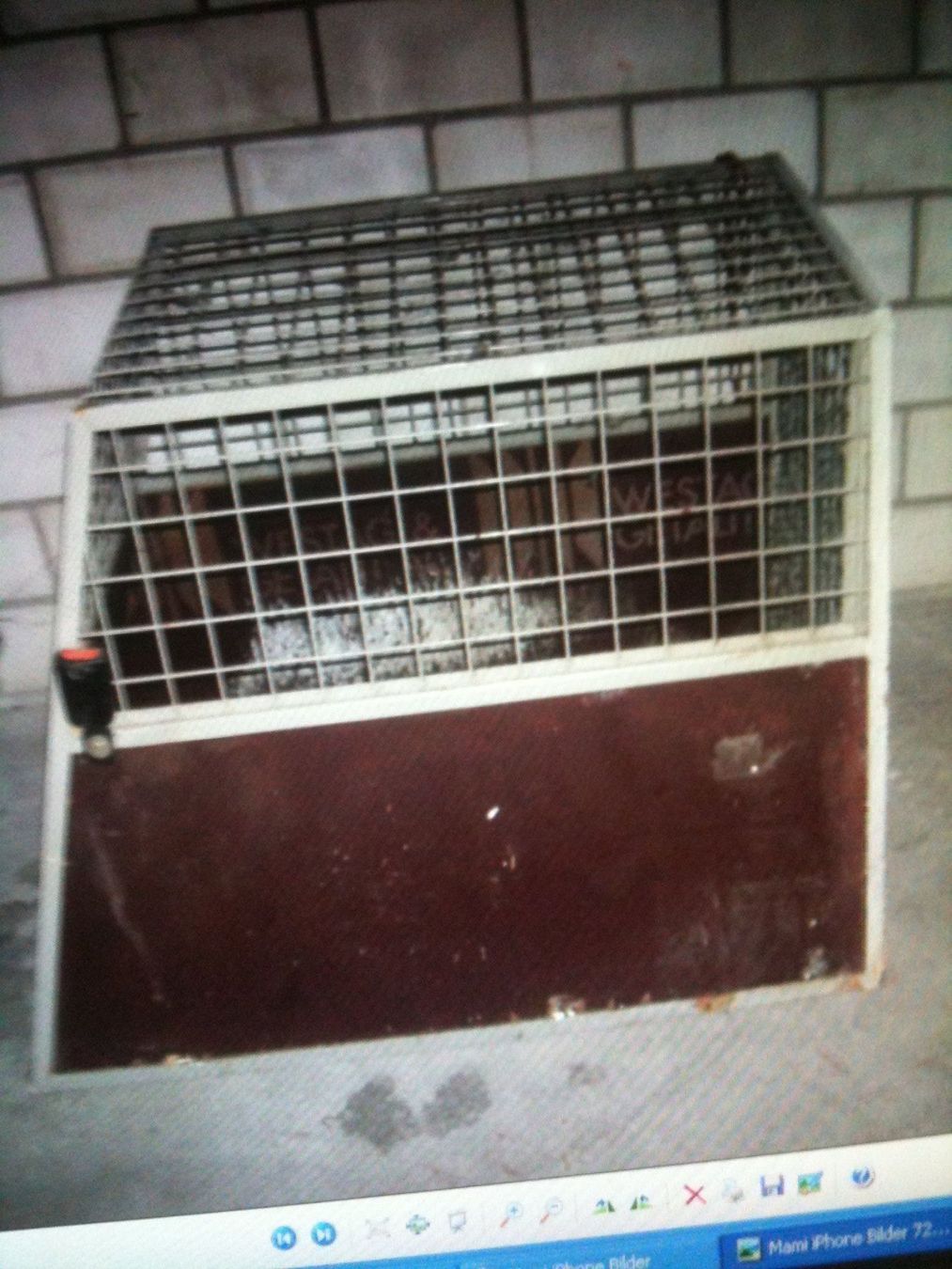 Gabbie, trasporto & Sicurezza: Cage de transport pour animaux. – Usato da Biel/Bienne venduto da Belmonte1 2
