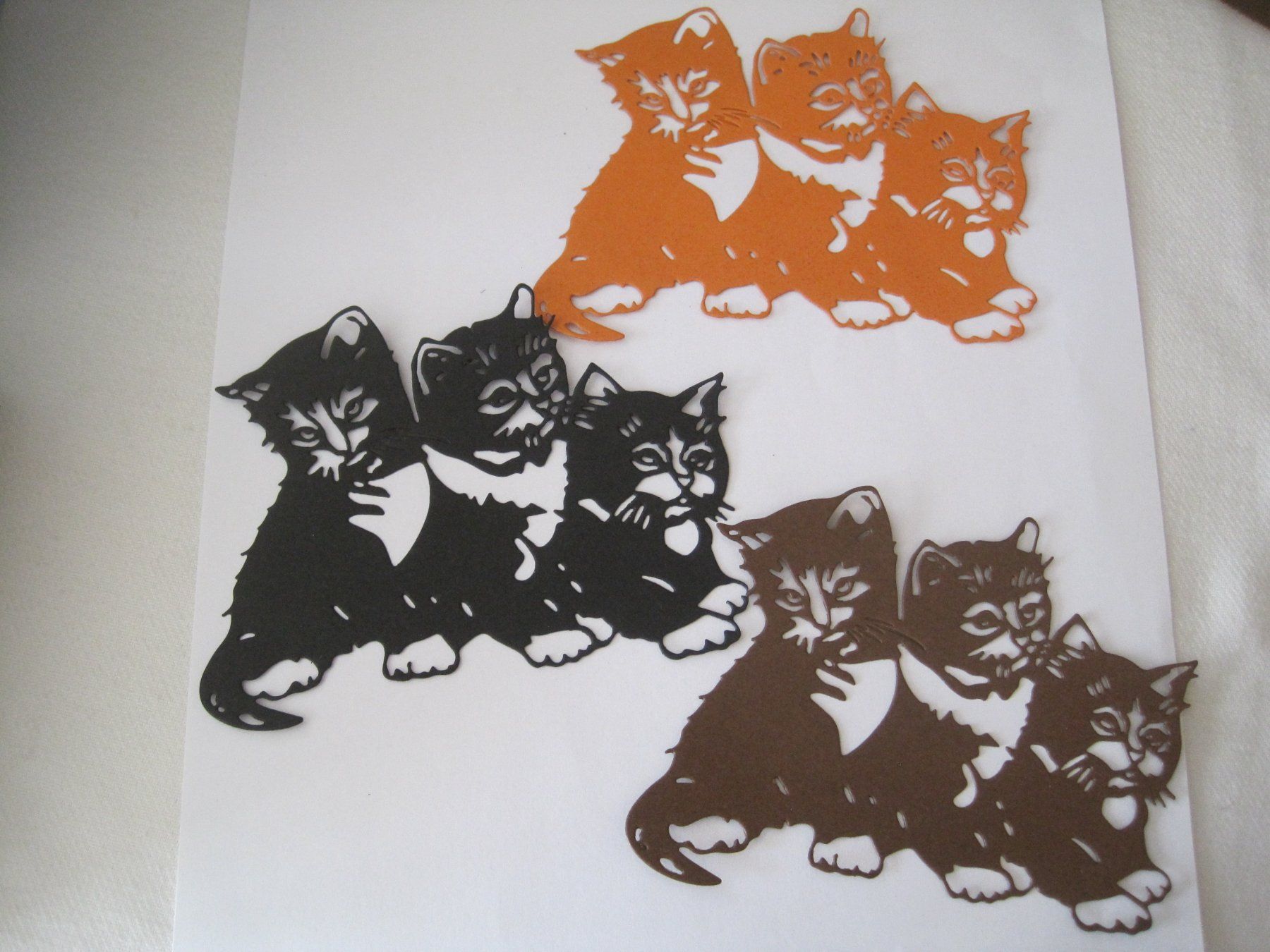 Carta: Stanz-Papier Motive versch. Katzen – Nuovo e nell'imballaggio originale da Schachen LU venduto da moepsli5