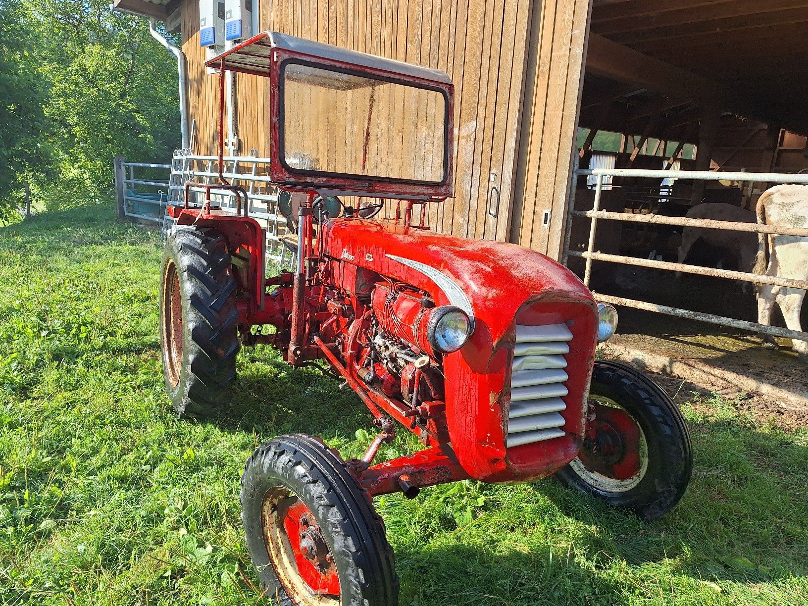 Tracteurs: Bucher Oldtimer Traktor – D'occasion à Eptingen par HackerPschorr
