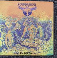 Companion - AKARMA - Vinyl LP - Reap The lost Dreamers