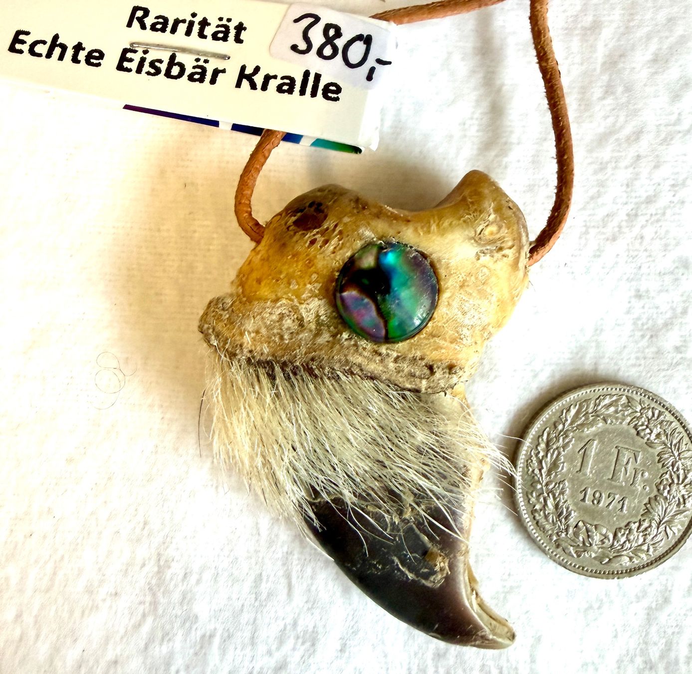 Il mondo degli animali: Echte Eisbär Bären Kralle - Rarität! – Nuovo (secondo la descrizione) da Thun venduto da Abalona3600 1