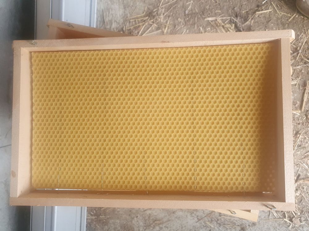 ZADANT Mittelwände 1 Kg – 395 X 265 Mm, Zellenmaß 5,4 Mm, Rückstandsarm, Für Bienenrähmchen, Hergestellt In Deutschland