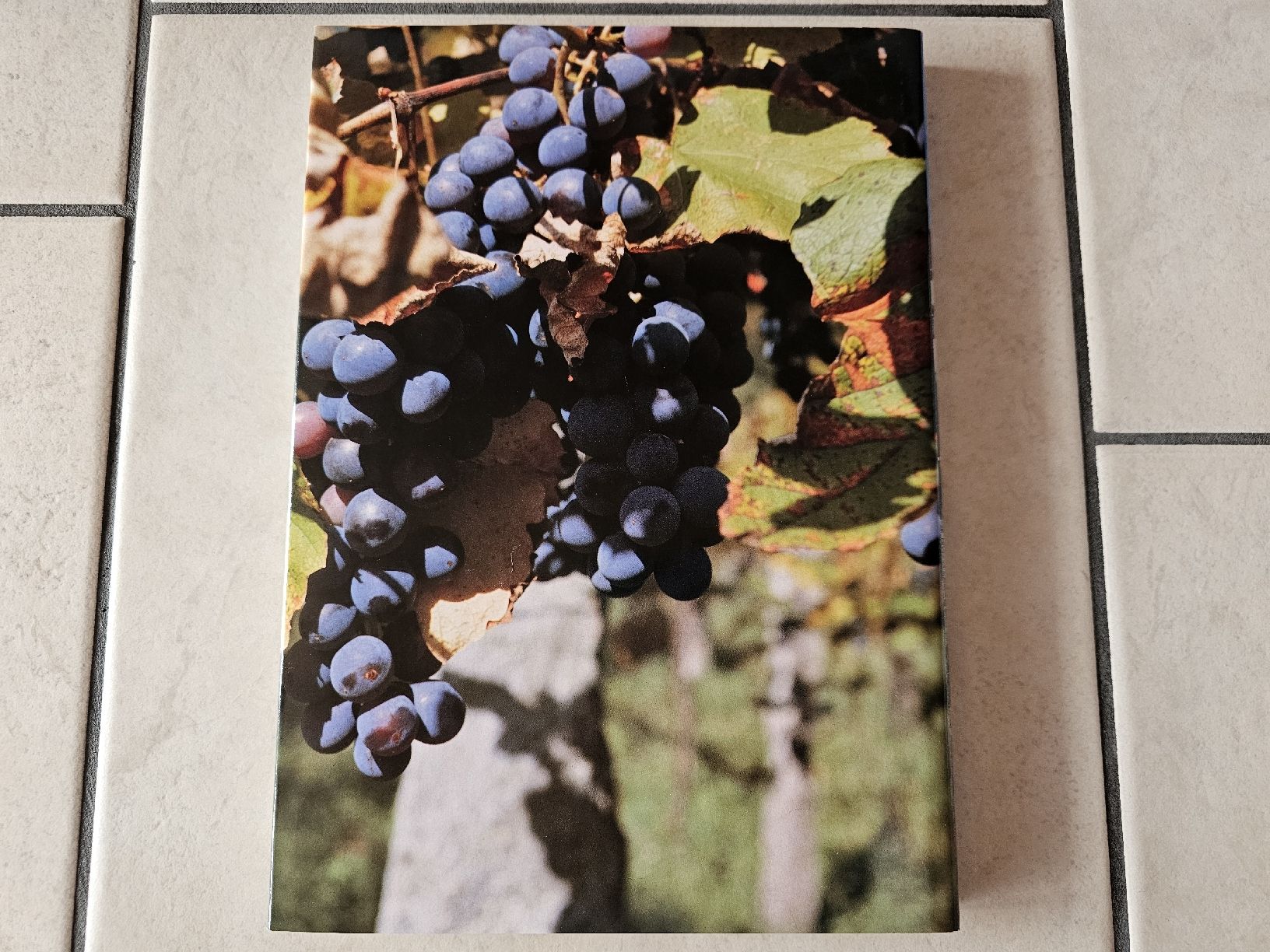 Libri: Tessin  /  167 Seiten – Usato da Schneisingen venduto da backstore24 1