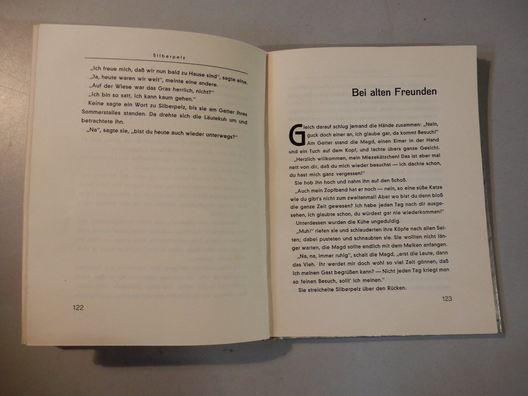 Libri: Silberpelz Abenteuer einer Katze, Gabriel Scott, 2. Auflage – Usato da Erstfeld venduto da Mario_boe0 8