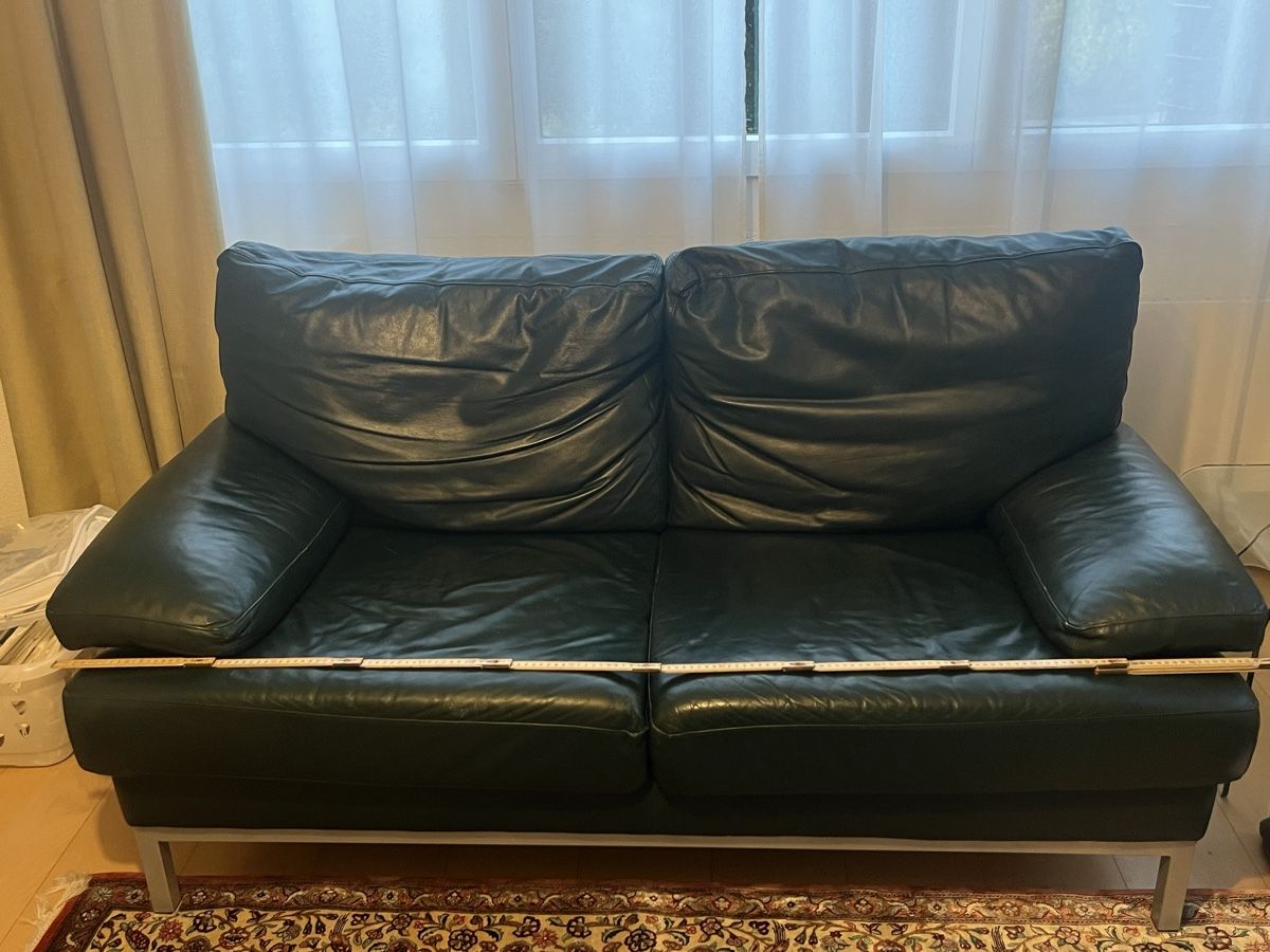 Divani: Echtleder Sofa Dunkelgrün – Usato da Wollerau venduto da sab_6j7r