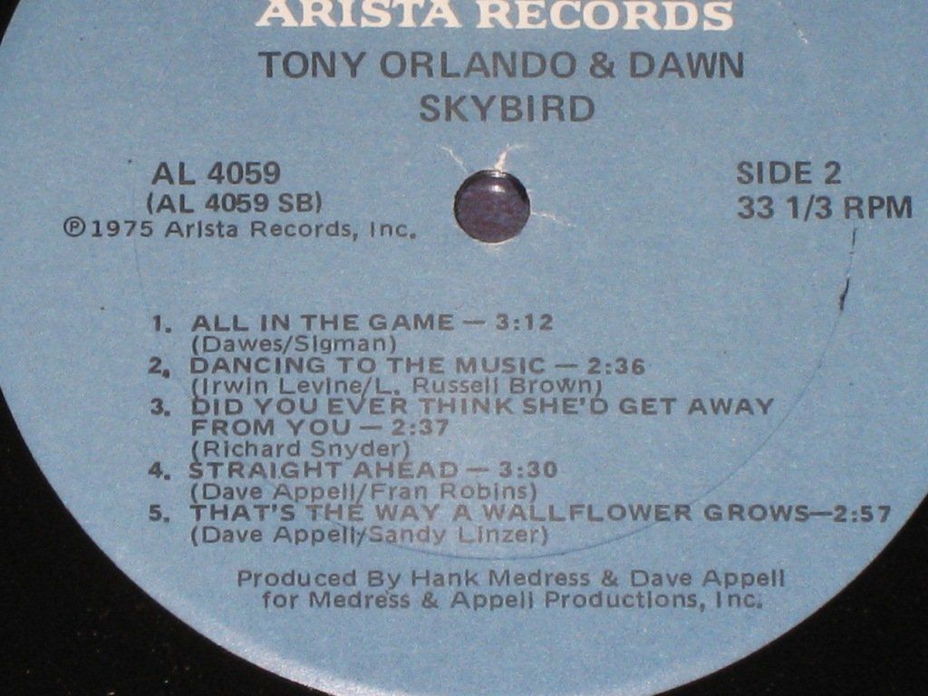 Dischi in vinile: LP - TONY ORLANDO & DAWN - SKYBIRD – Usato da Steckborn venduto da Quo7 2
