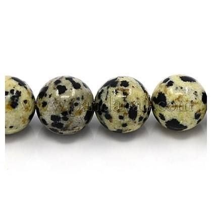 Edelsteine: Dalmatin Jaspis  4mm       1 Strang – Neu (gemäss Beschreibung) aus Alpnachstad von perlengaby