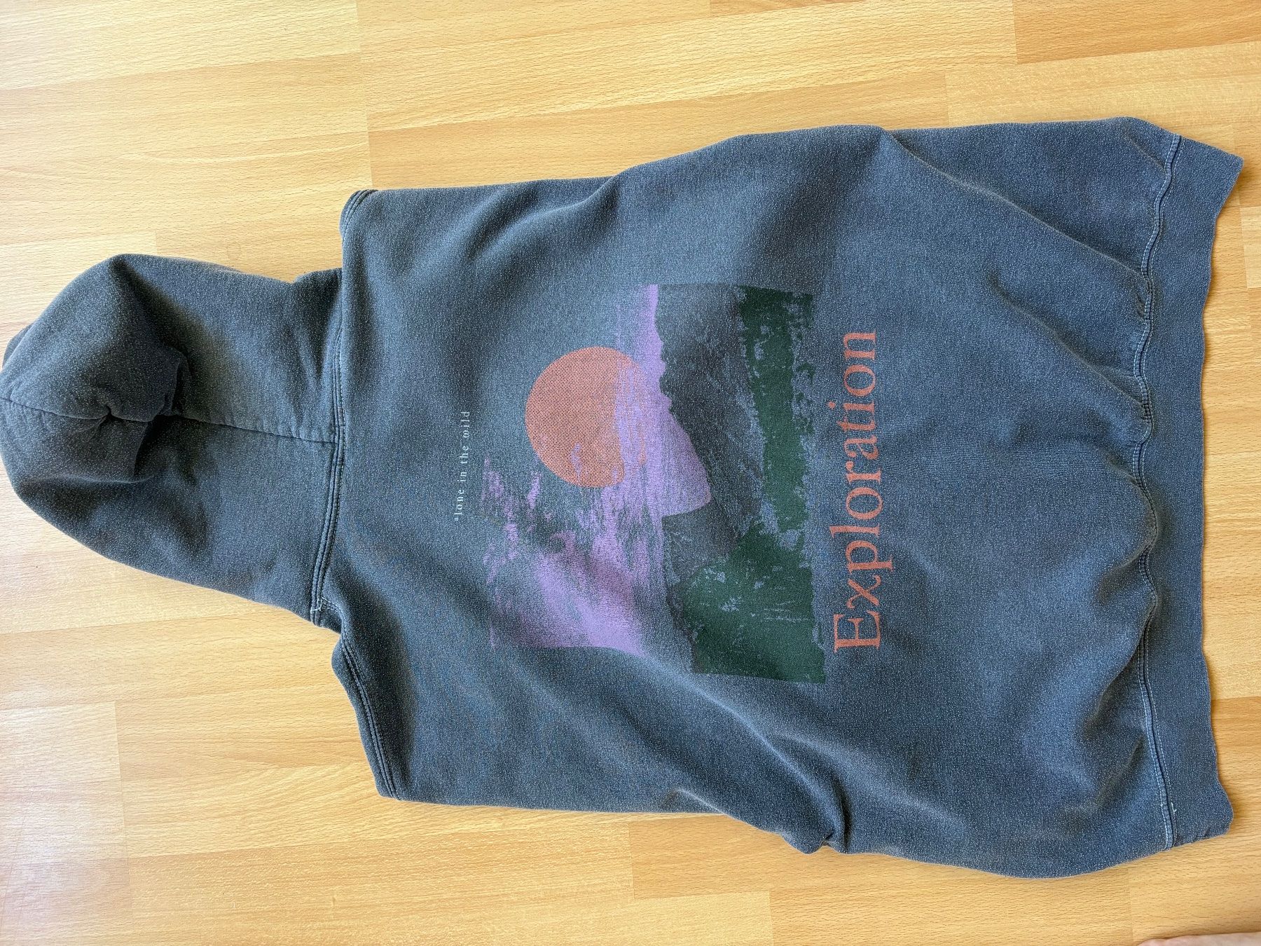 Pullover & Sweatshirts: BDG Kapuzenpullover – Gebraucht aus Orpund von Stepach 3
