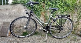Damen Fahrrad wie neu