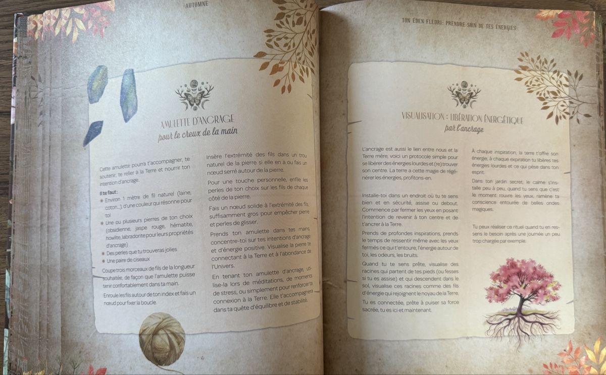 Libri: Mon grimoire de rituels & astuces de sorcière – Nuovo (secondo la descrizione) da Riddes venduto da pullrose 4