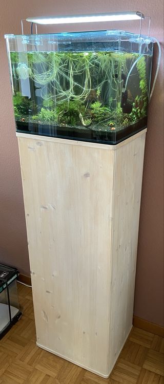 Aquarium Dennerle Scaper’s Tank 55 L avec meuble (Gebraucht) in Marly ...