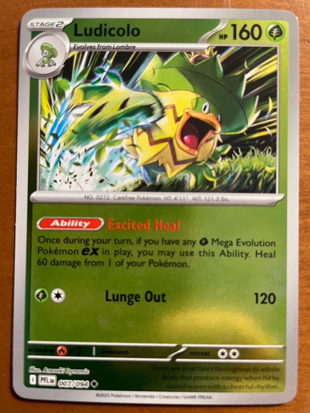 Pokémon Carte collezionabili: Pokemon Ludicolo Reverse (Versand gratis) – Nuovo (secondo la descrizione) da Chur venduto da Angerson