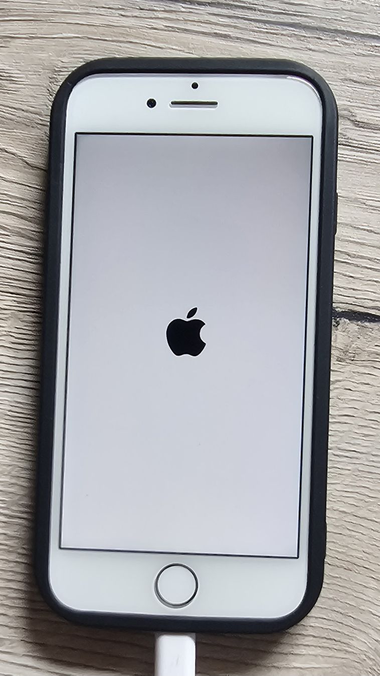Apple Telefoni cellulari / Smartphones: iphone 7 – Usato da Niederbuchsiten venduto da p16_k9xy 1