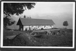 #Alp Romiti , Vitznau - Rigibahn