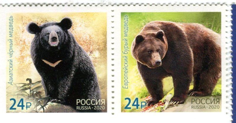 Tous les timbres: Briefmarken "Braunbär". Russland – Neuf avec emballage d'origine à Basel par Butsch5