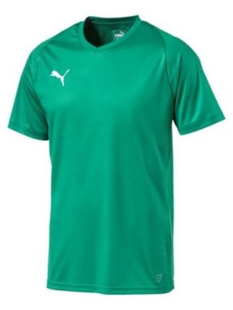 Puma LIGA Jersey Core - grün (Grösse: L)