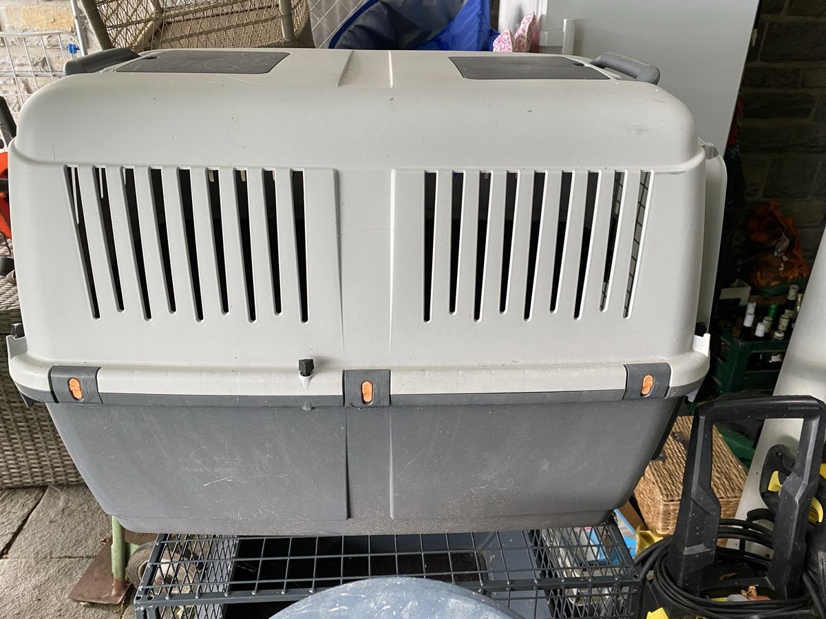 Gabbie, trasporto & Sicurezza: Hundebox Transportbox grau Grösse L  – Usato da Merligen venduto da shalimar64 1