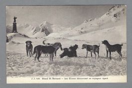 GRAND SAINT BERNARD - LES CHIENS DÉCOUVRANT UN VOYGEUR ÉGARÉ