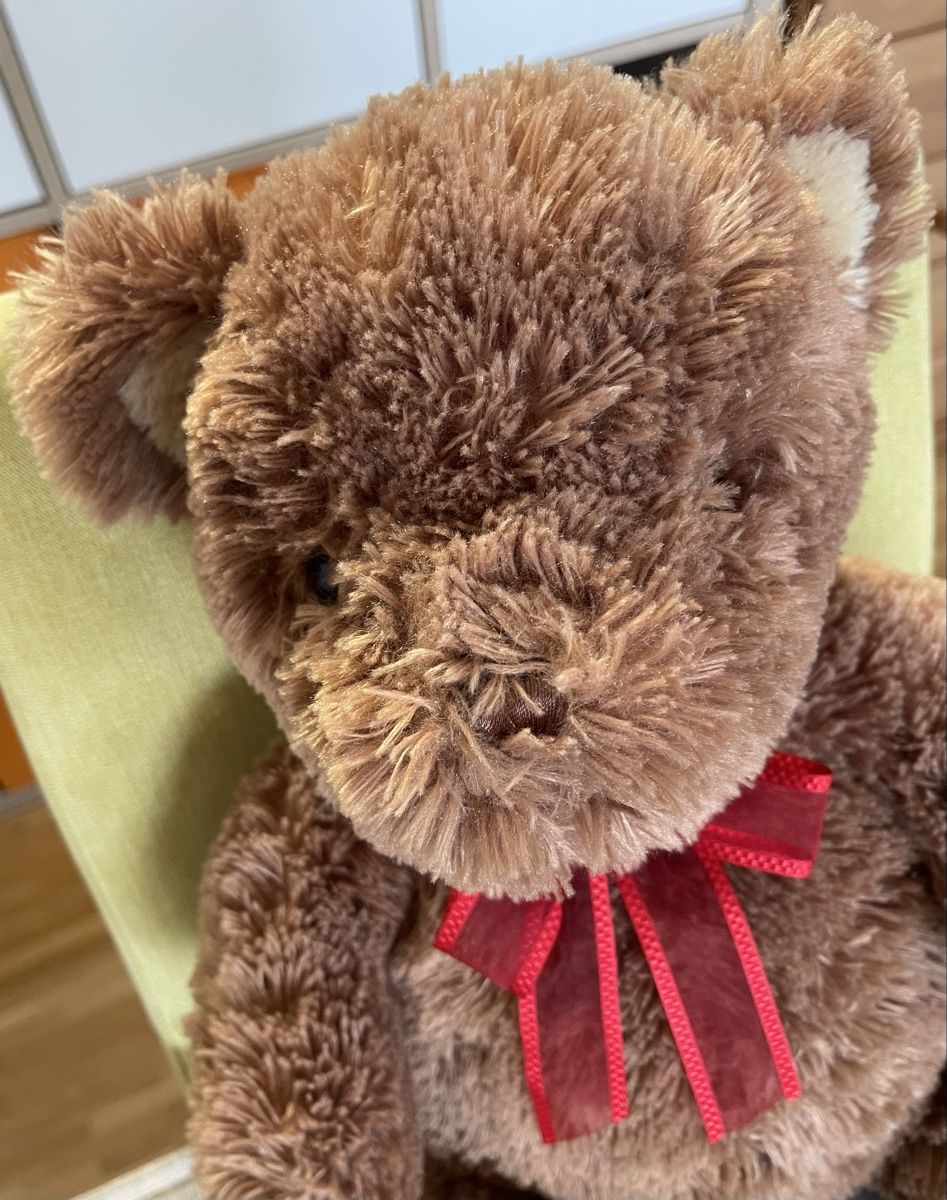 Giocattoli: Carter's Classics Teddy Bear Vintage – Usato da Sennhof venduto da gio_79cw 4