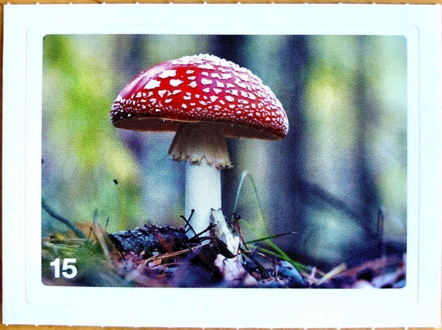 Migros Sammelbilder & Trading cards: Migros Nature Detectives - Bild Nr. 15 – Neu (gemäss Beschreibung) aus Oberrieden von Zimmerberg10