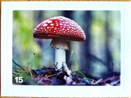 Migros Nature Detectives - Bild Nr. 15