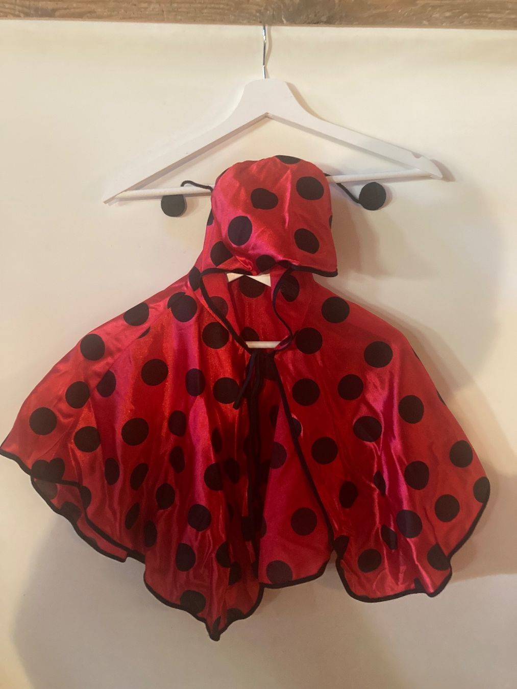 Costumi: Meiechäferli Kostüm – Usato da Heimenschwand venduto da Beuggerts 1