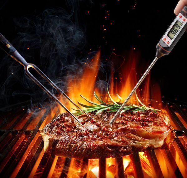 Appareils de cuisine: Küchenthermometer Einstichthermometer – Neuf avec emballage d'origine à Buchs SG par myeasyshop_buchs 4