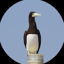 Profile image of View59